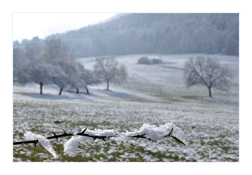 ... es darf Frühling werden