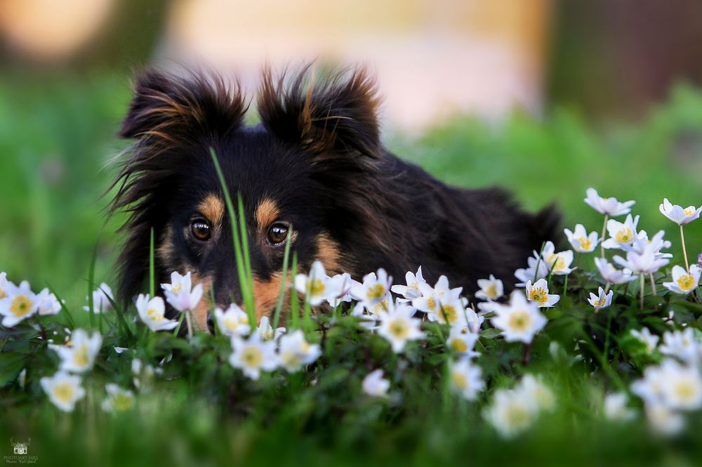 Es duftet nach Frühling...