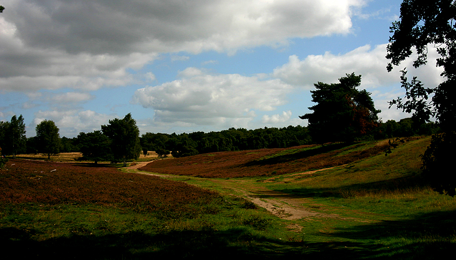 Es dunkelt schon in der Heide.......