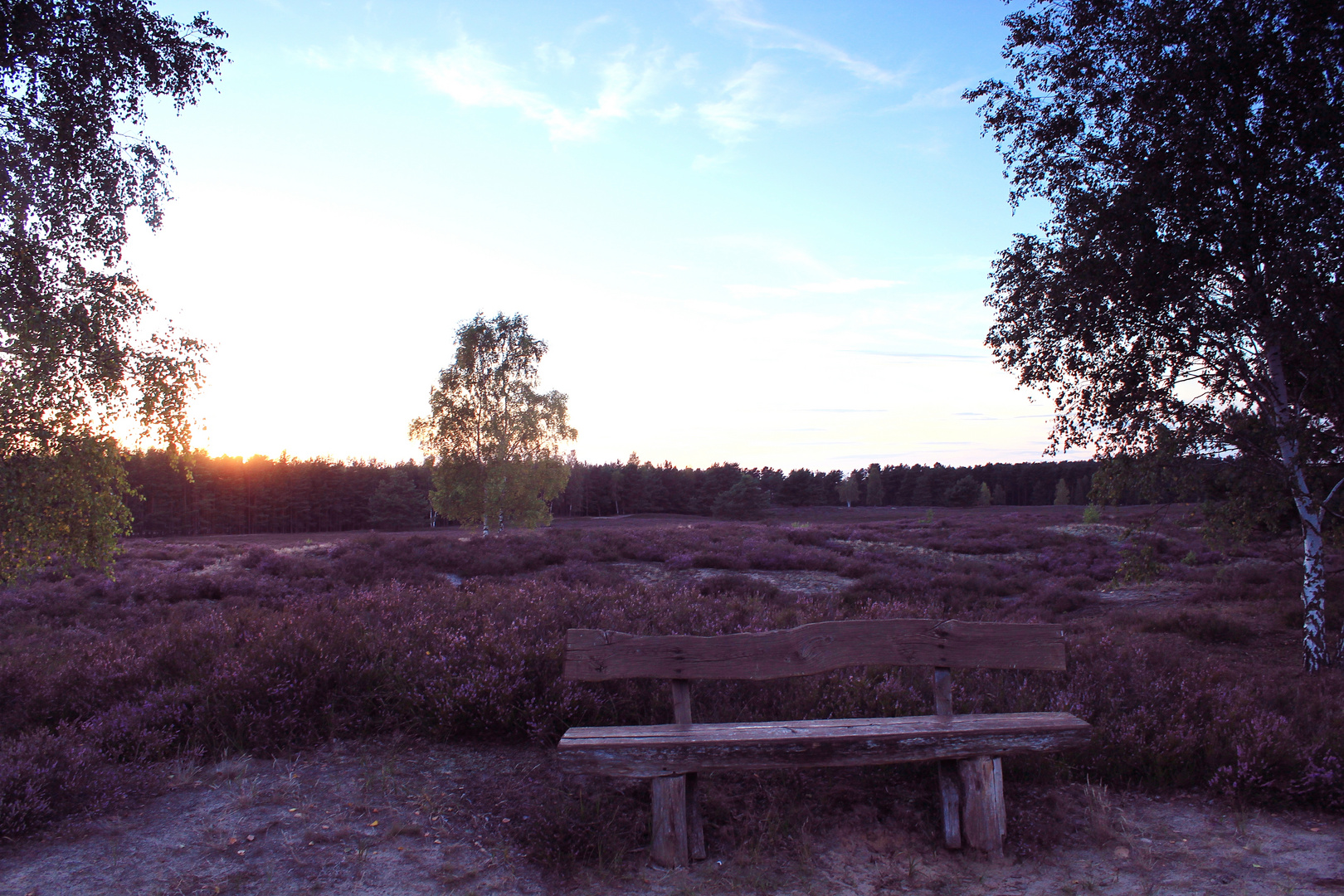 Es dunkelt schon in der Heide ....