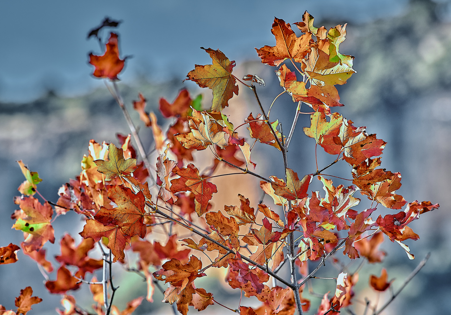 Es el otoño