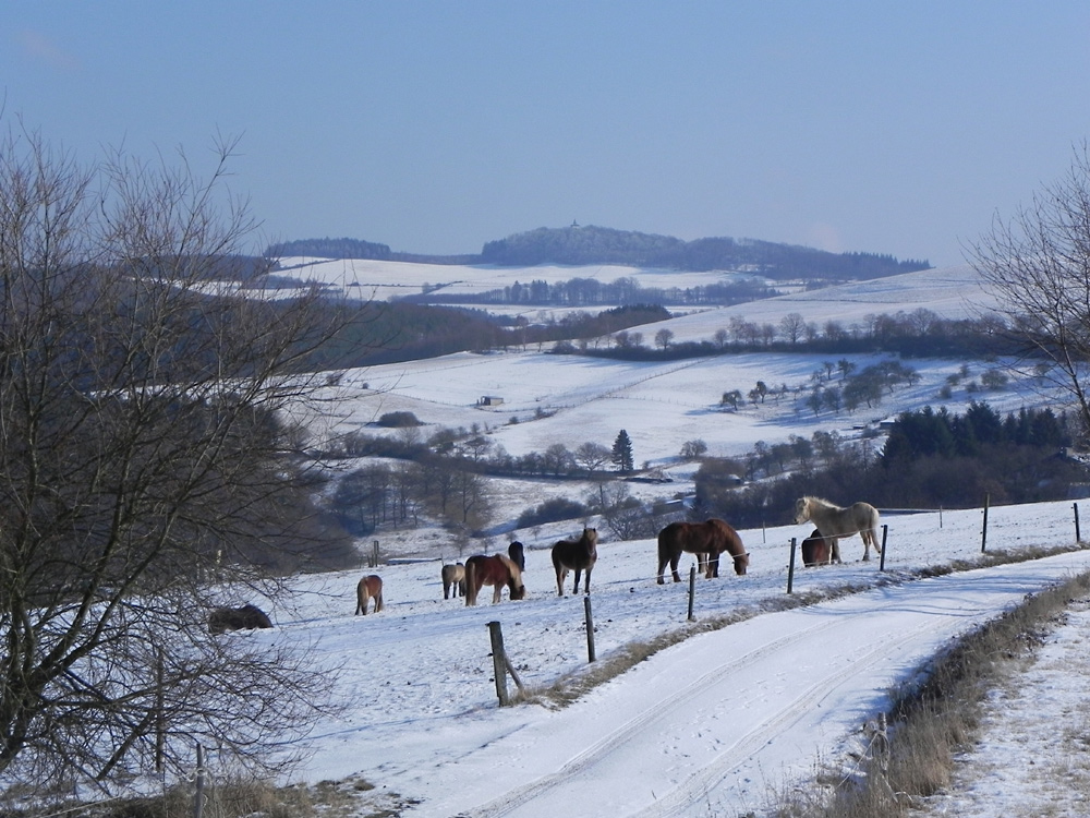 Es fehlt der Schnee, also erinnern wir uns III