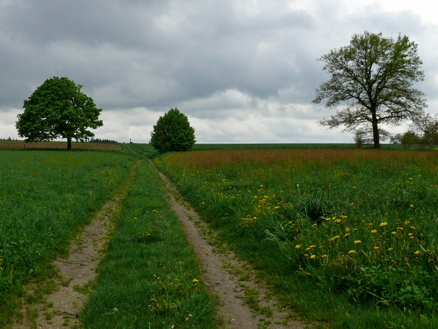 Es fehlt halt die Sonne...