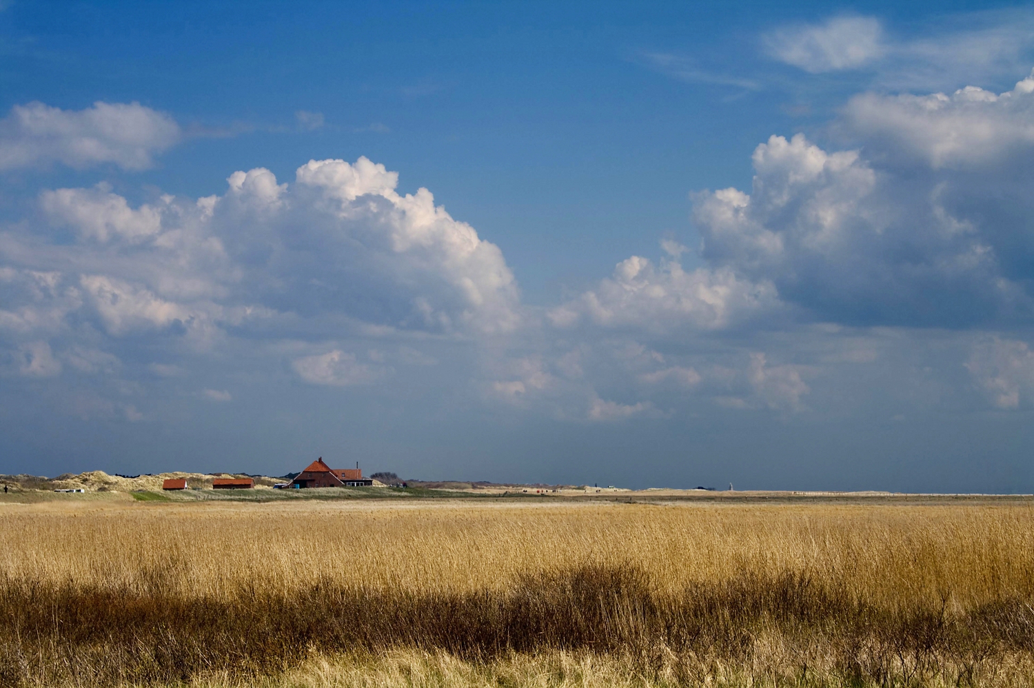 Es fliegen die Wolken in Richtung Süden