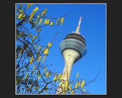 Es frühlingt im Dorf