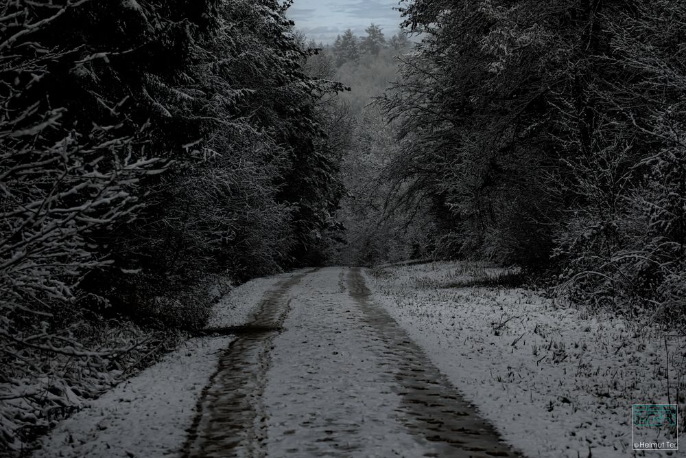 Es führt ein Weg nach Nirgendwo