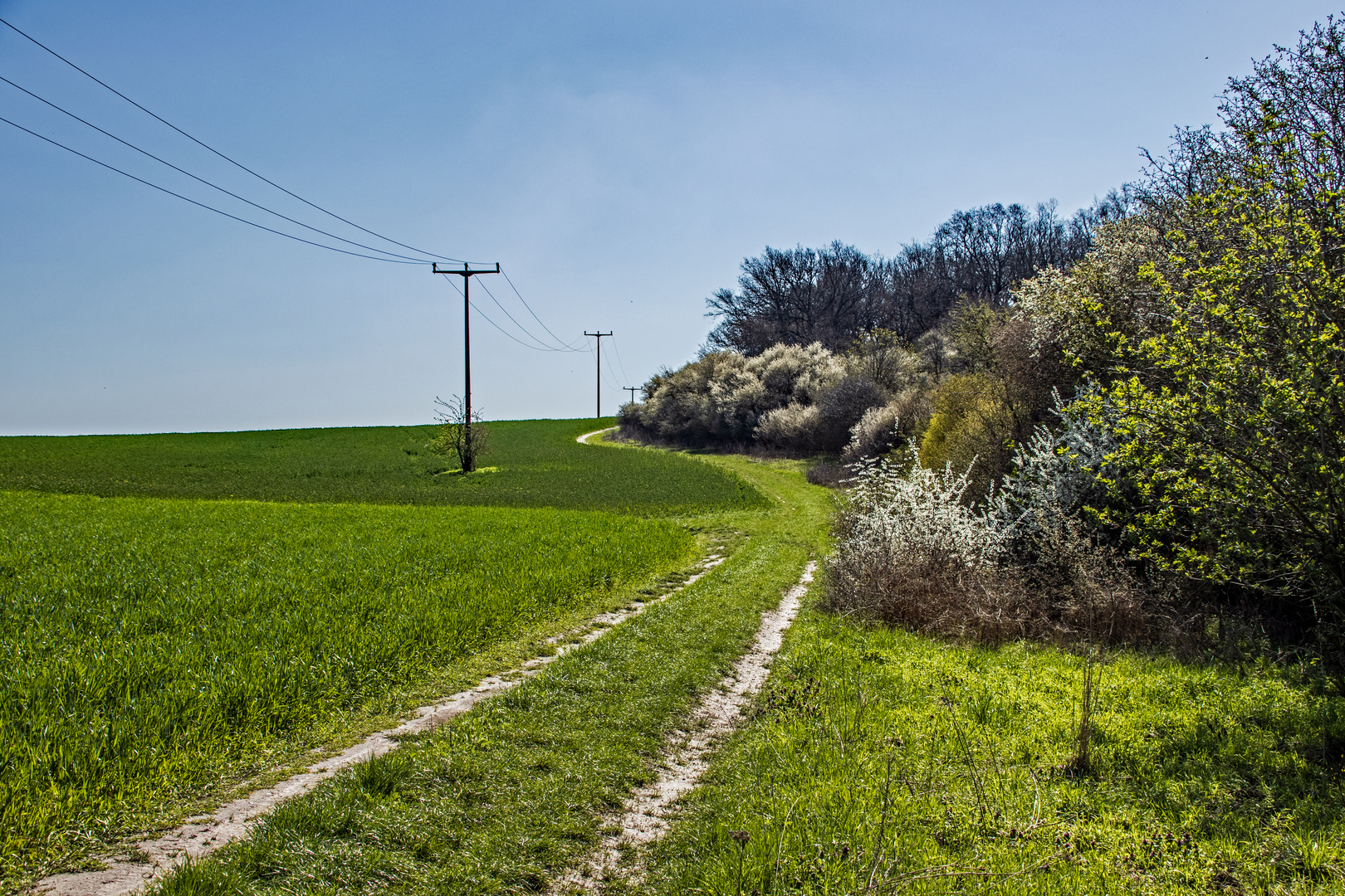 Es führt ein Weg nach nirgendwo