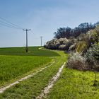 Es führt ein Weg nach nirgendwo