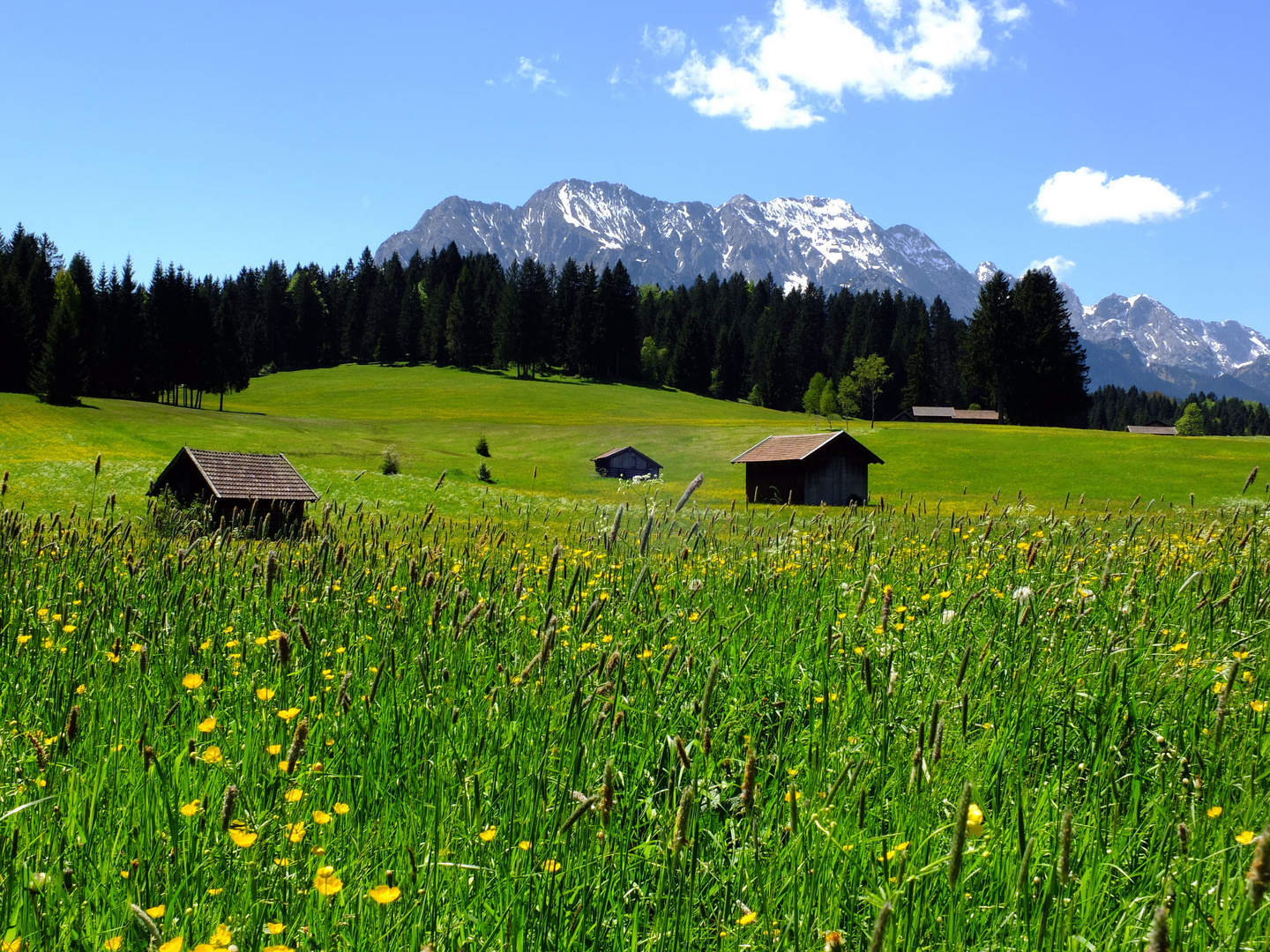 Es gab ihn doch den Frühling