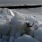 Es gab ihn doch, den Winter