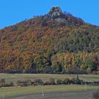 Es gab ihn doch noch den goldenen und nicht nur verbrannten Herbst...