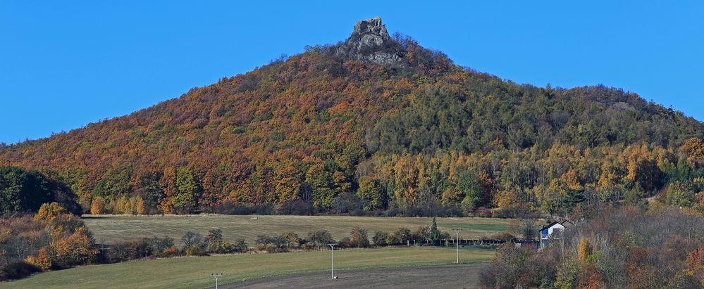 Es gab ihn doch noch den goldenen und nicht nur verbrannten Herbst...