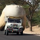 Es geht alles, Rajasthan, Indien