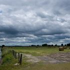 "Es geht ein dunkle Wolk herein"