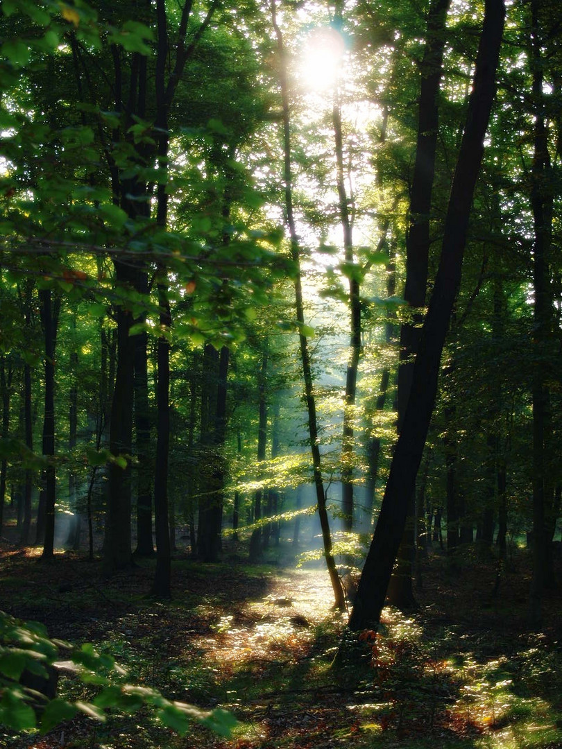 Es geht ein Licht auf