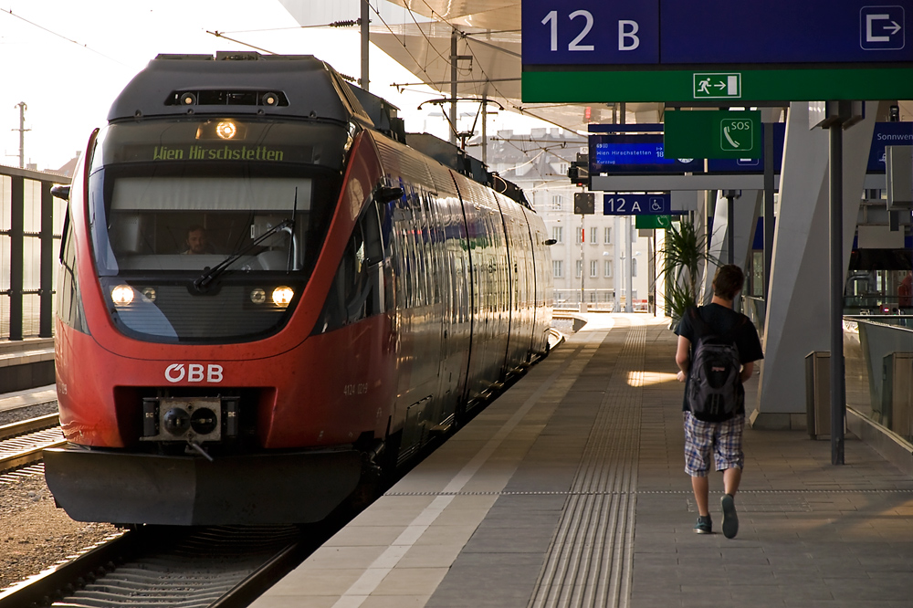 Es geht eine Palme auf Reisen