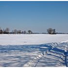 Es geht eine Schneespur nach Nirgendwo