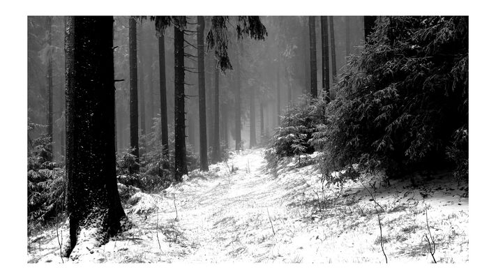 Es geht in Richtung Winter.....