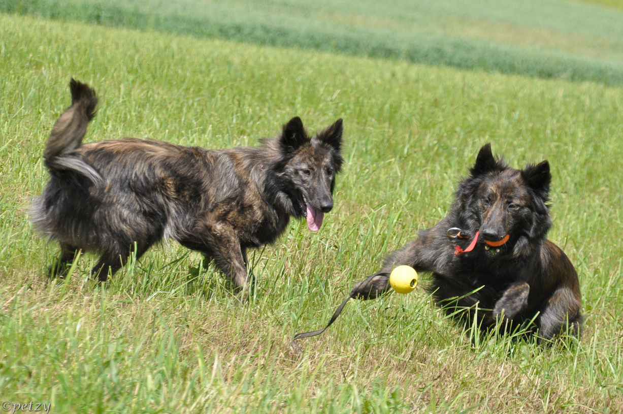 ..es geht nur ein Ball