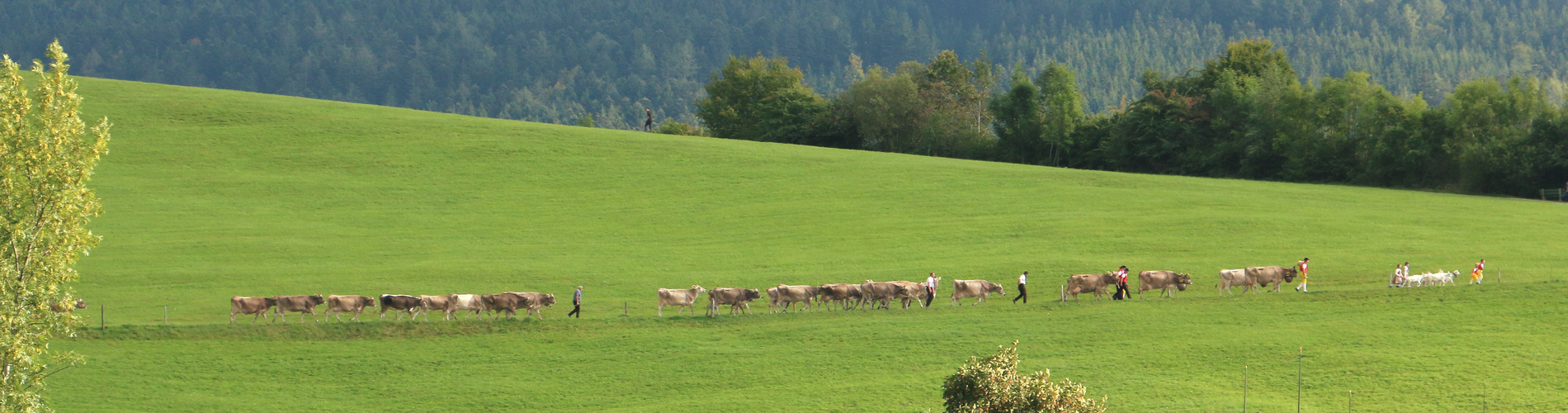 es geht wieder heimwärts...