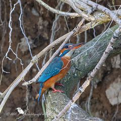 Es geht wieder los...!