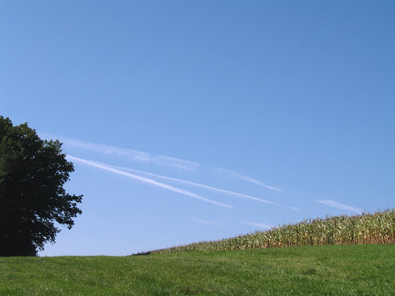 Es gibt auch blauen Himmel!