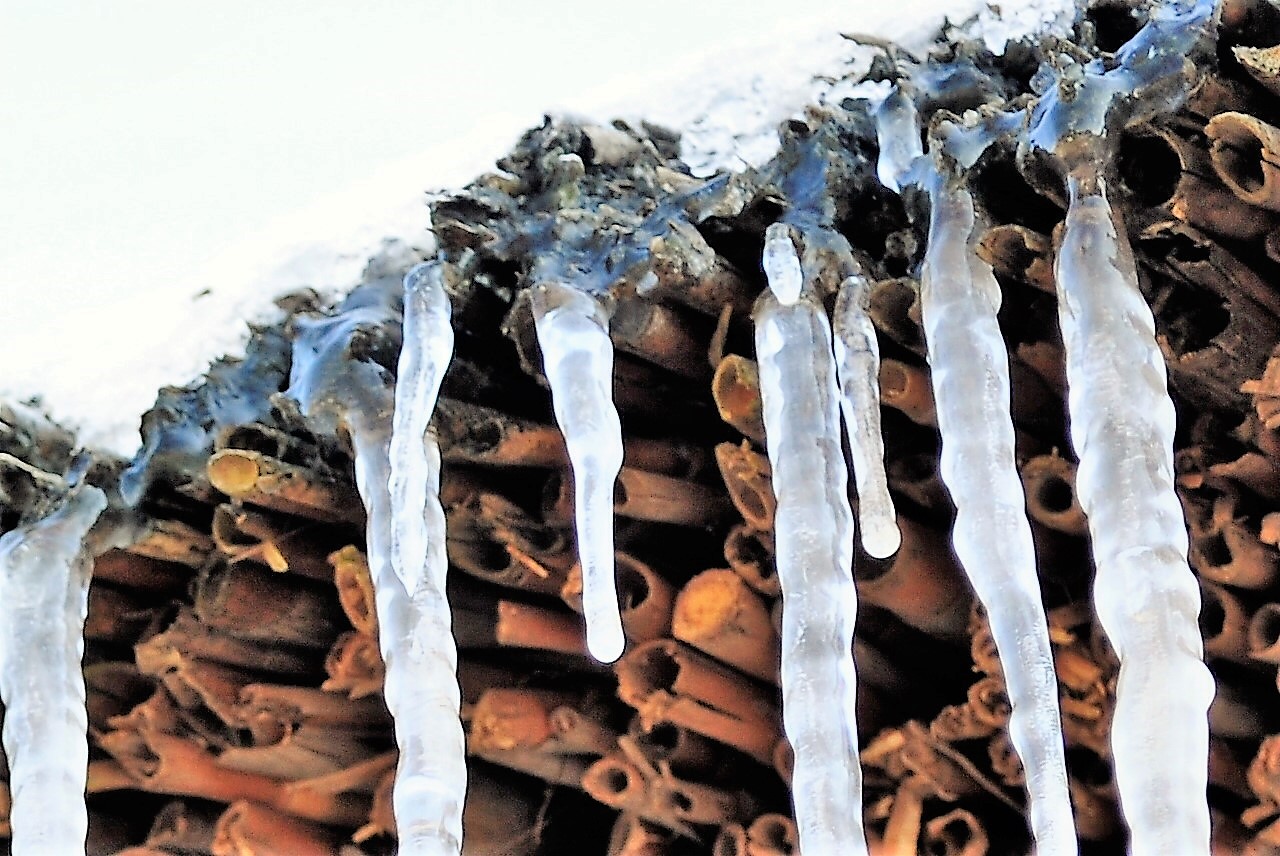 Es gibt auch Schnee und Frost in Schleswig-Holstein 