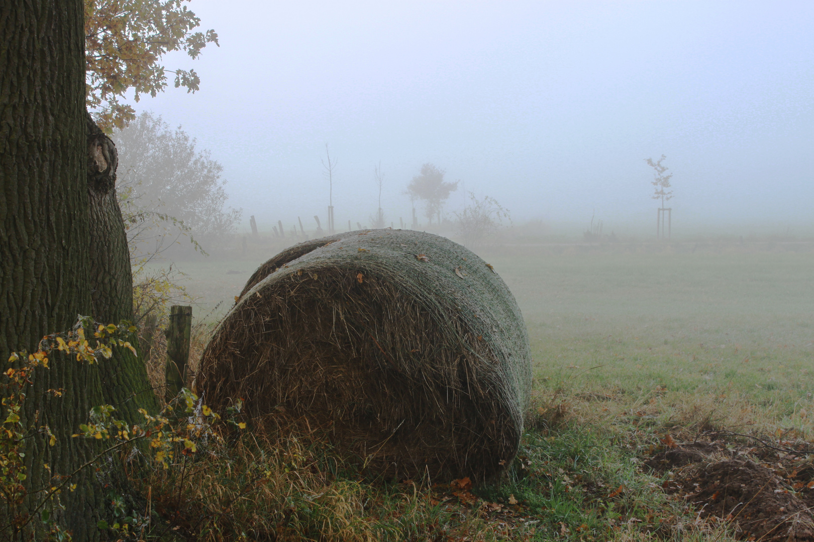 # ES GIBT DIE STILLE #