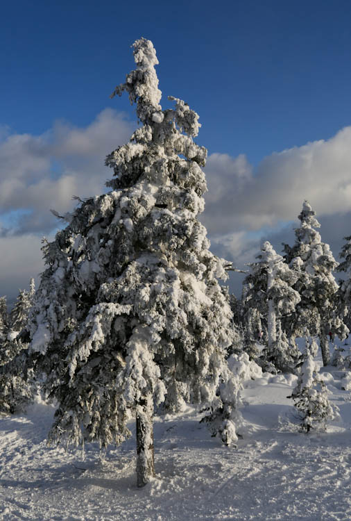 Es gibt doch noch Schee - Winterlandschaft auf dem Keilberg