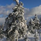 Es gibt doch noch Schee - Winterlandschaft auf dem Keilberg