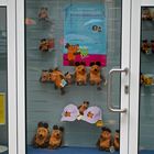 Es gibt doch nur eine Maus, oder?