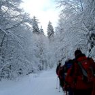 Es gibt doch Schnee im Allgäu!