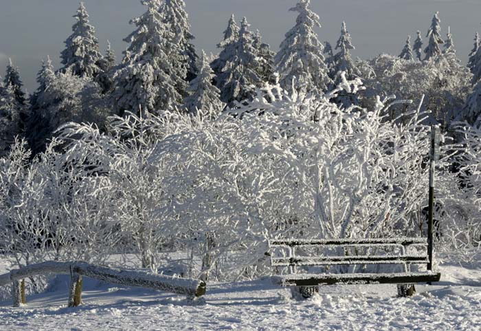 Schneit Es Zu Weihnachten 2022 In österreich Es gibt doch Schnee zu Weihnachten Foto & Bild landschaft, gletscher
