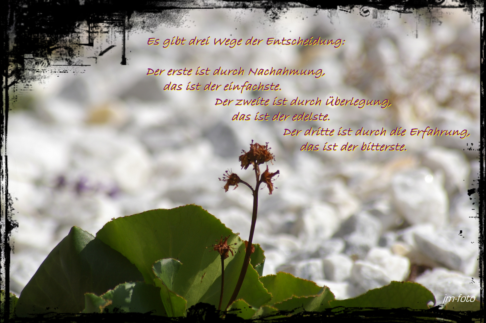 Es gibt drei Wege ..................