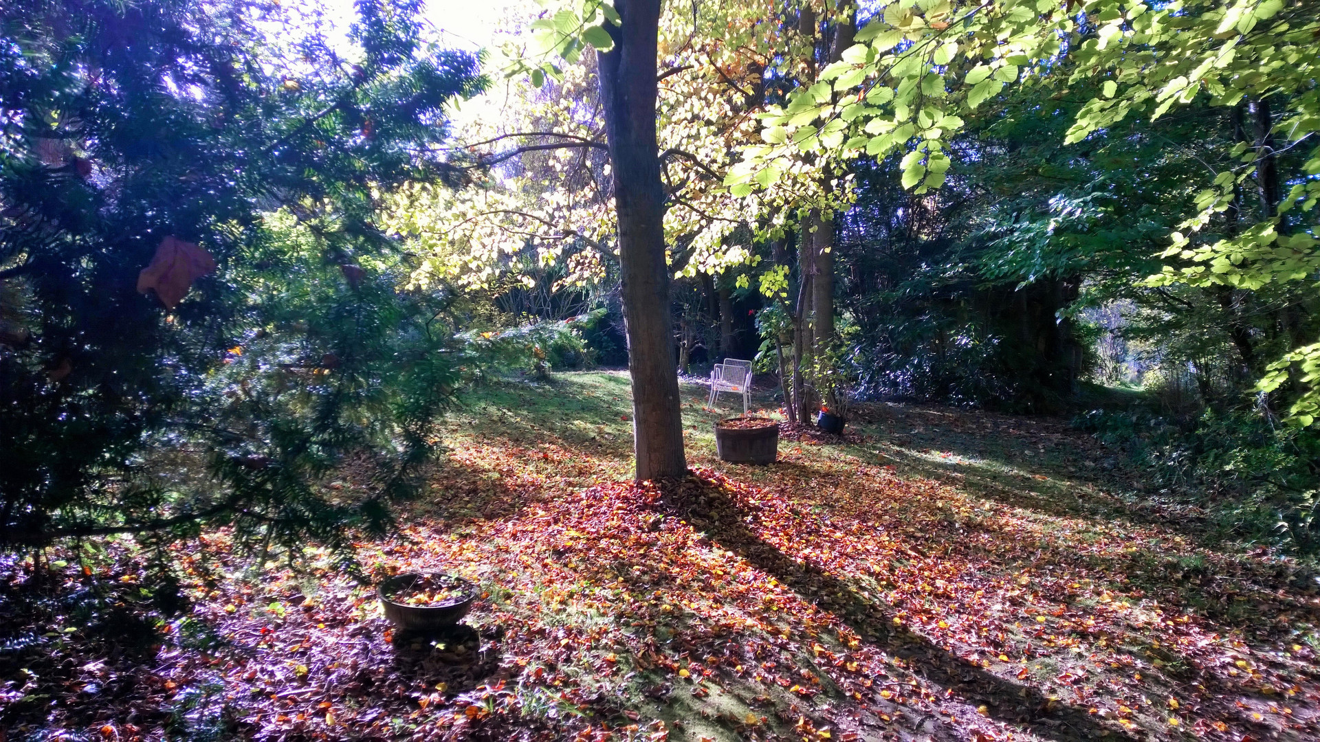 Es gibt eine Stille des Herbstes bis in die Farben hinein. Hugo v. Hofmannsthal