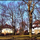 Es gibt ihn doch noch,  den blauen Himmel! Wenn auch nur für