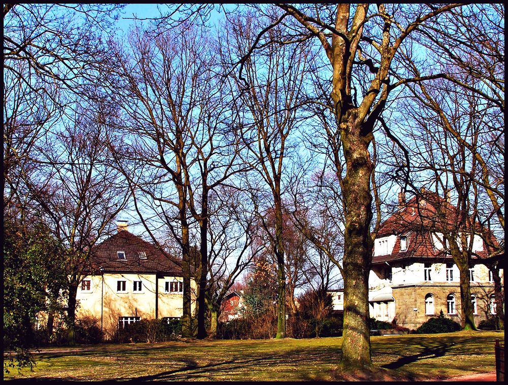 Es gibt ihn doch noch,  den blauen Himmel! Wenn auch nur für