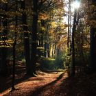 Es gibt immer ein Licht am Ende des Tunnels!