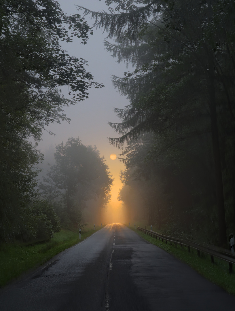 Es gibt immer ein Licht das uns den Weg zeigt...