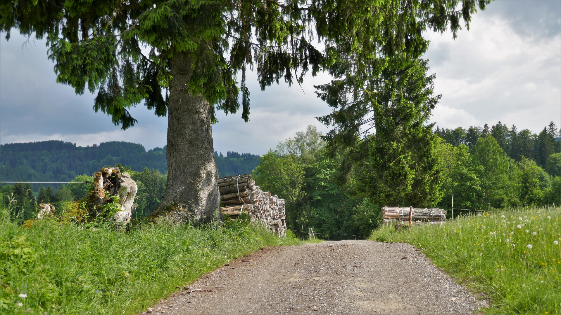 Es gibt immer wieder neue Wege ...