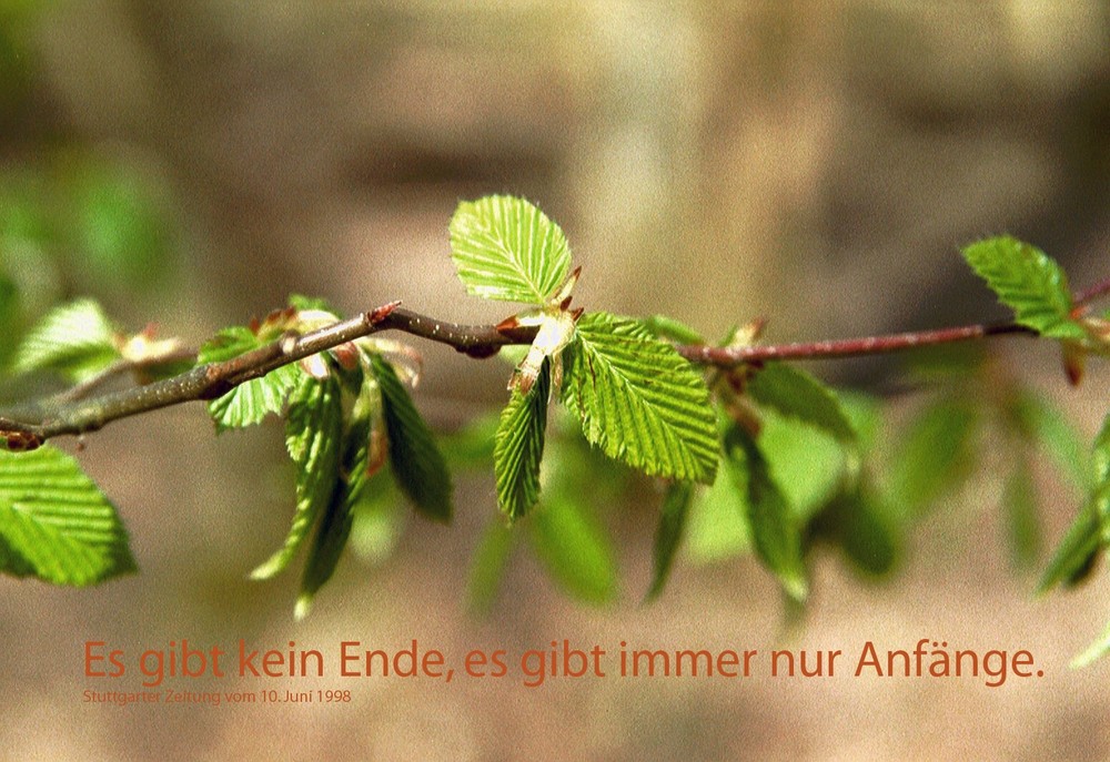 Es gibt kein Ende, sondern nur Anfänge!