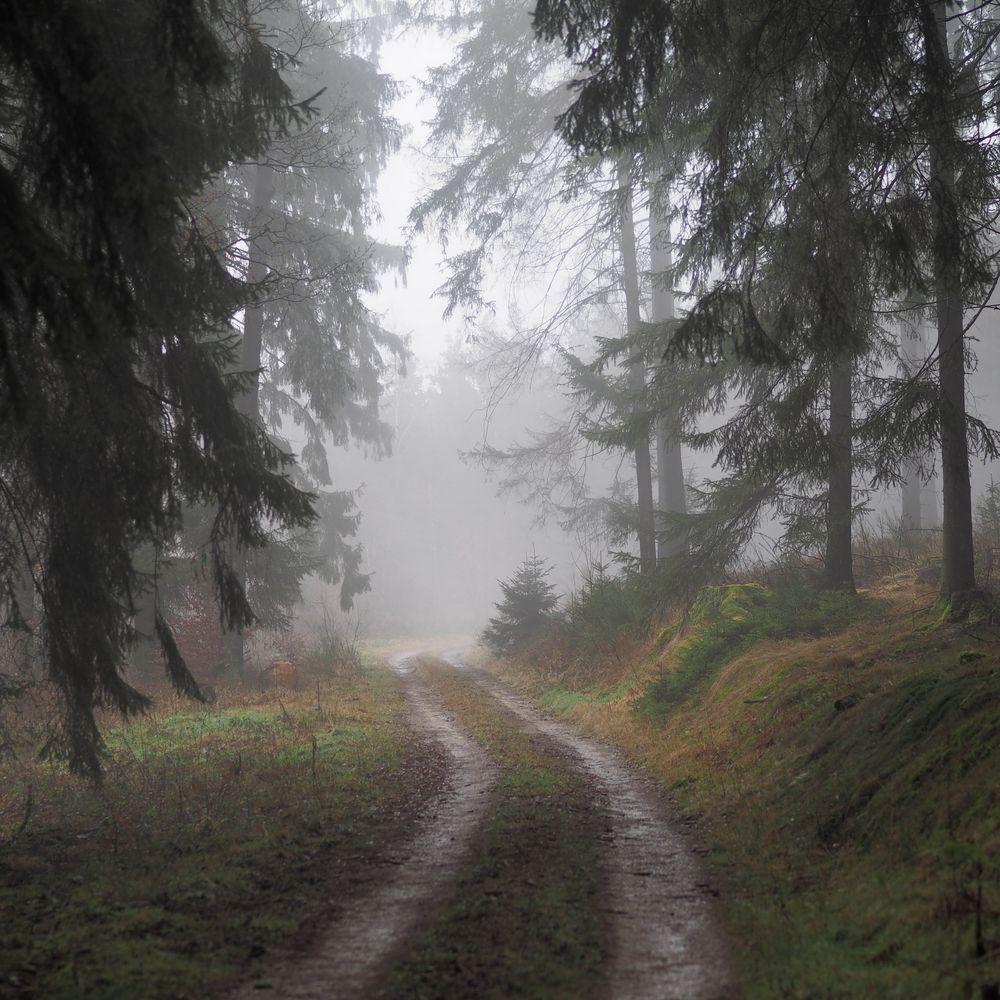 Es gibt kein schlechtes Wetter