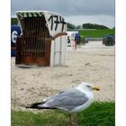 ~ Es gibt kein schlechtes Wetter, nur schlechte Kleidung~