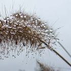 Es gibt kein schlechtes Wetter zum fotografieren