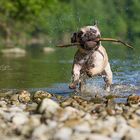 Es gibt kein "zu heiss"- nur ein " zu wenig Wasserspass" :)