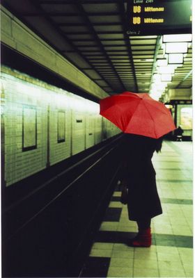 es gibt keine schmetterlinge mehr