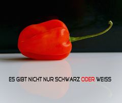 es gibt nicht nur schwarz oder weiss