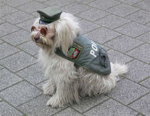 Es gibt nichts was es nicht gibt