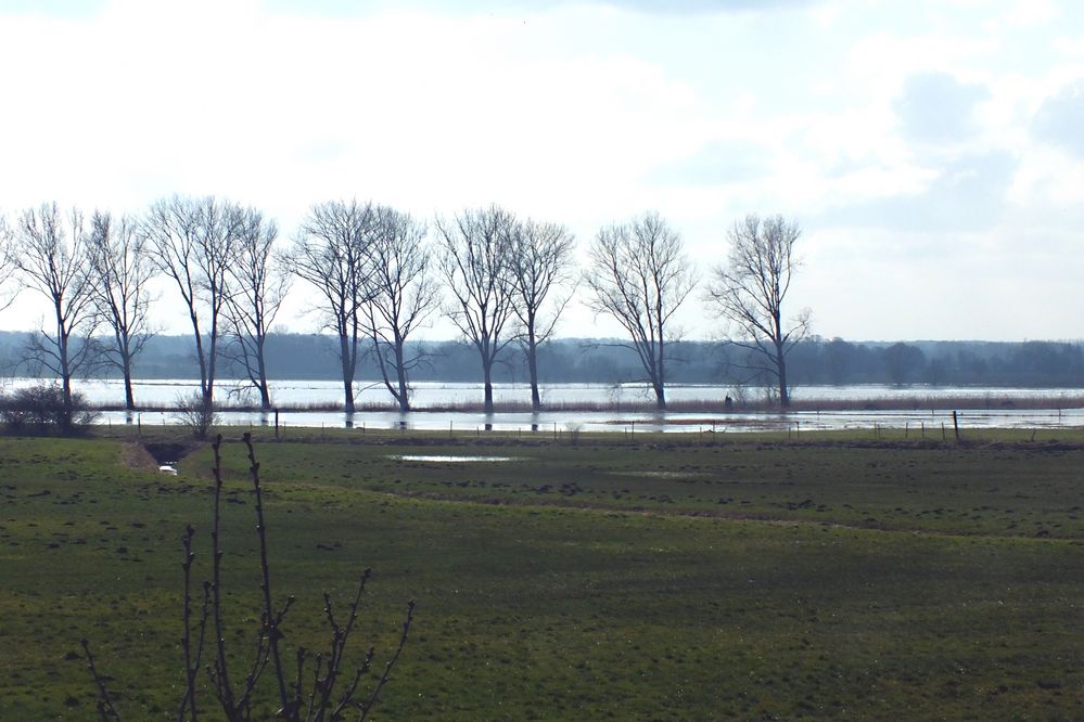 Es gibt nur Wasser, Wasser überall