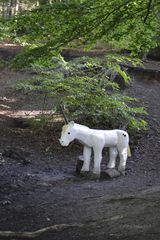 Es gibt sie... Einhorn im Wald